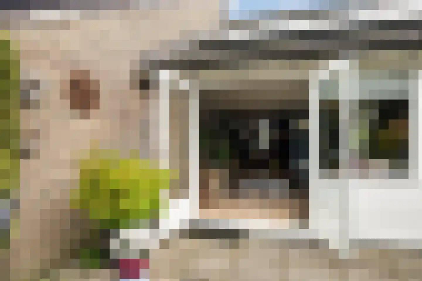 Platohôf 25 Stiens thumbnail 30