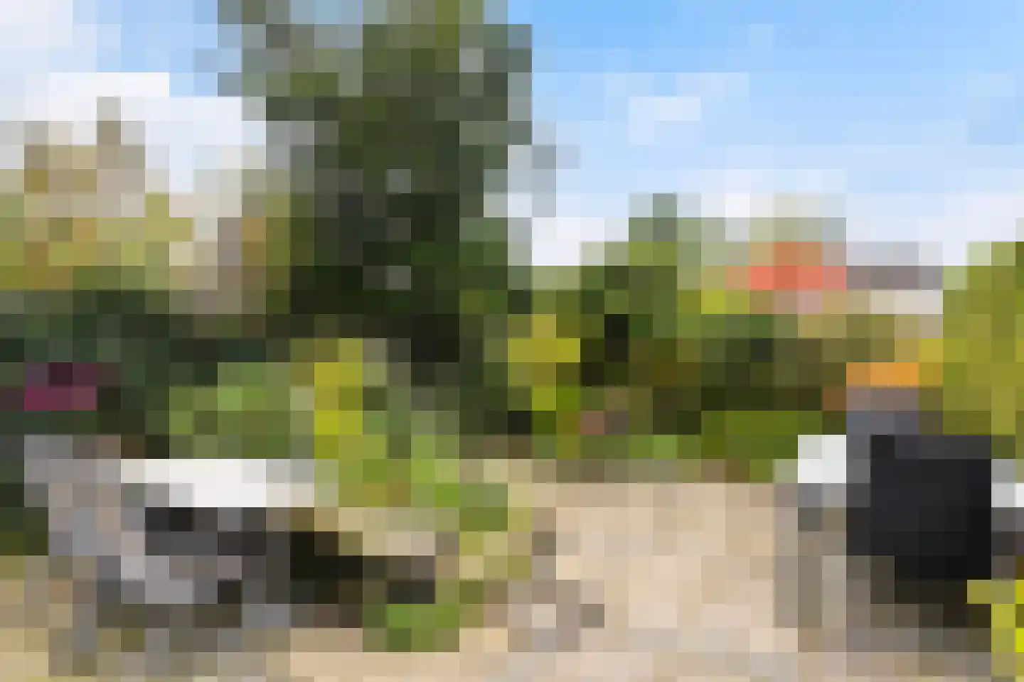 Platohôf 25 Stiens thumbnail 31
