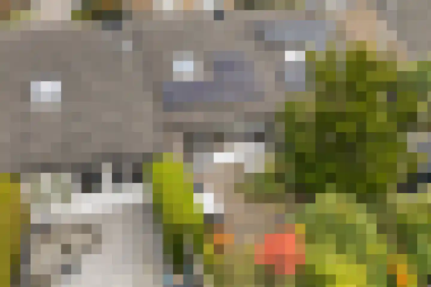 Platohôf 25 Stiens thumbnail 32
