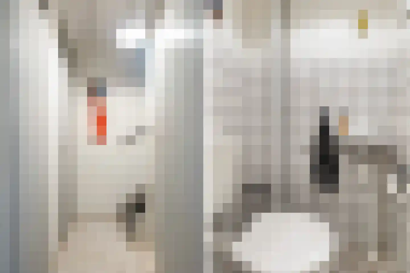 Platohôf 25 Stiens thumbnail 8