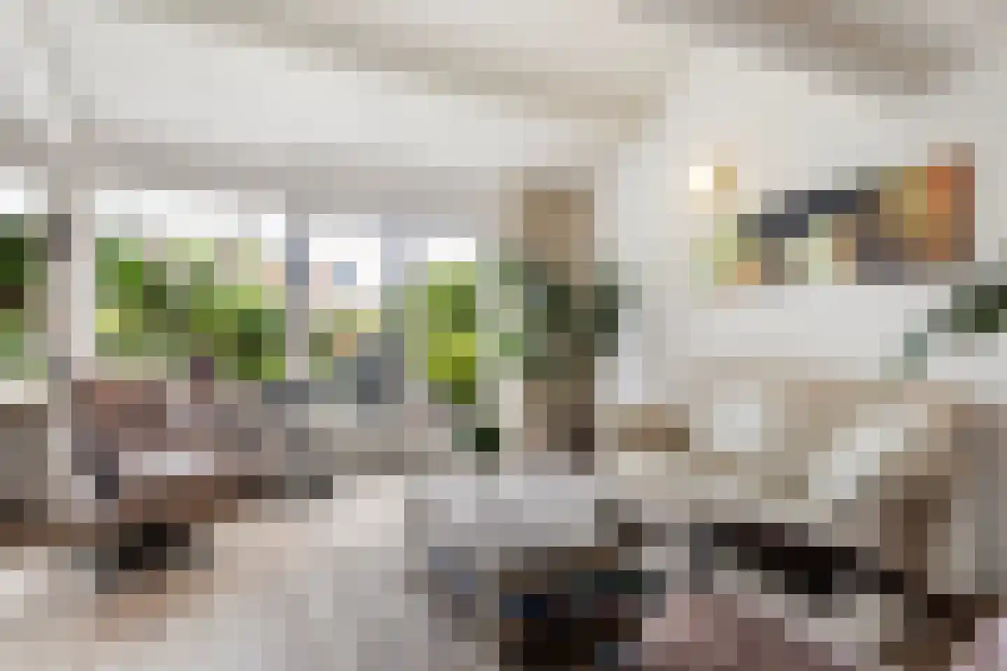 Platohôf 25 Stiens thumbnail 9
