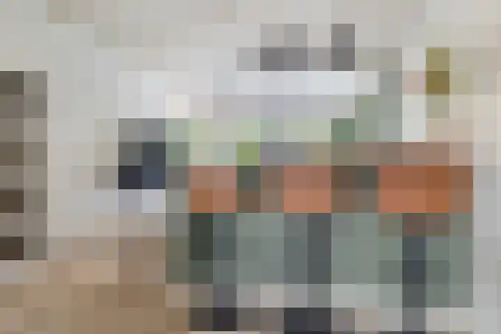 Platohôf 33 Stiens thumbnail 10