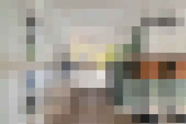 Platohôf 33 Stiens thumbnail 11
