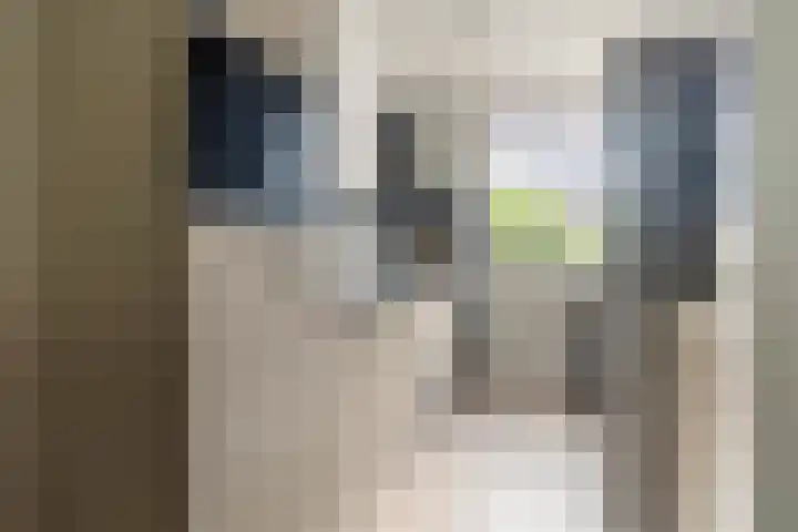 Platohôf 33 Stiens thumbnail 13