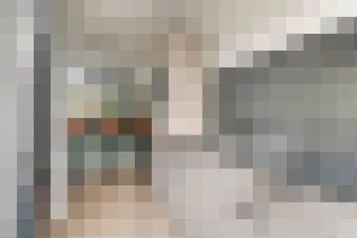 Platohôf 33 Stiens thumbnail 14
