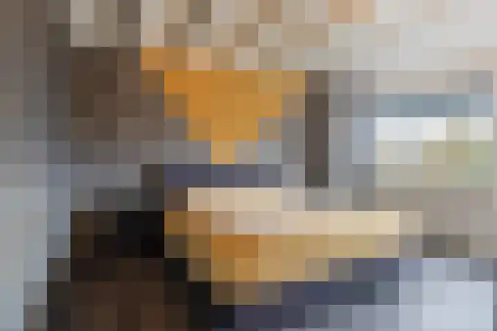 Platohôf 33 Stiens thumbnail 20