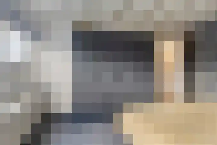 Platohôf 33 Stiens thumbnail 21