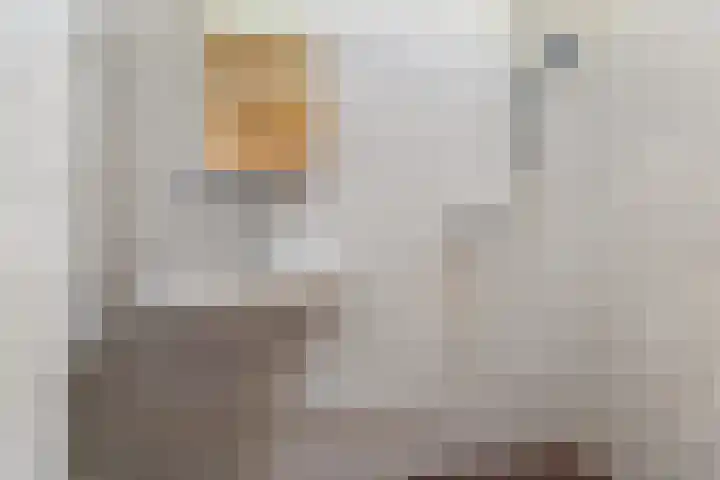 Platohôf 33 Stiens thumbnail 26