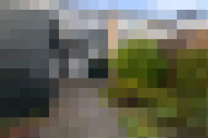 Platohôf 33 Stiens thumbnail 28