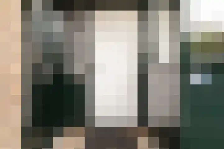 Platohôf 33 Stiens thumbnail 29