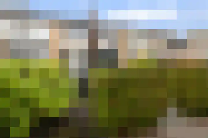 Platohôf 33 Stiens thumbnail 30