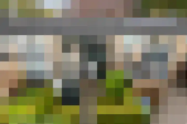 Platohôf 33 Stiens thumbnail 31