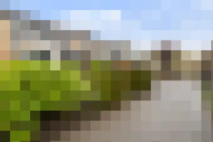 Platohôf 33 Stiens thumbnail 32