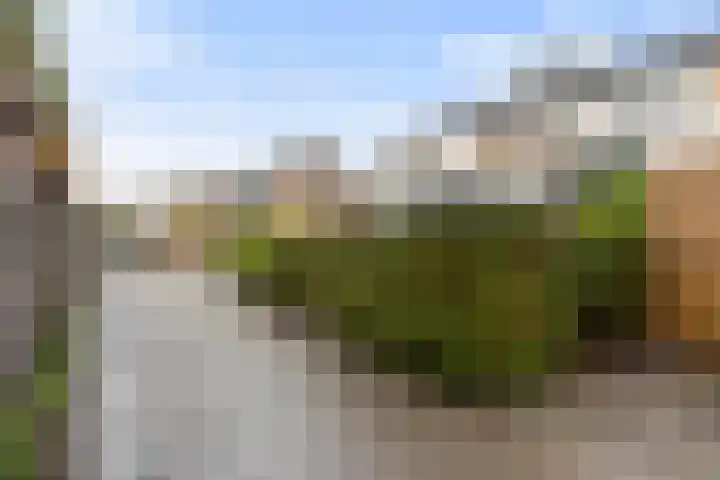 Platohôf 33 Stiens thumbnail 33