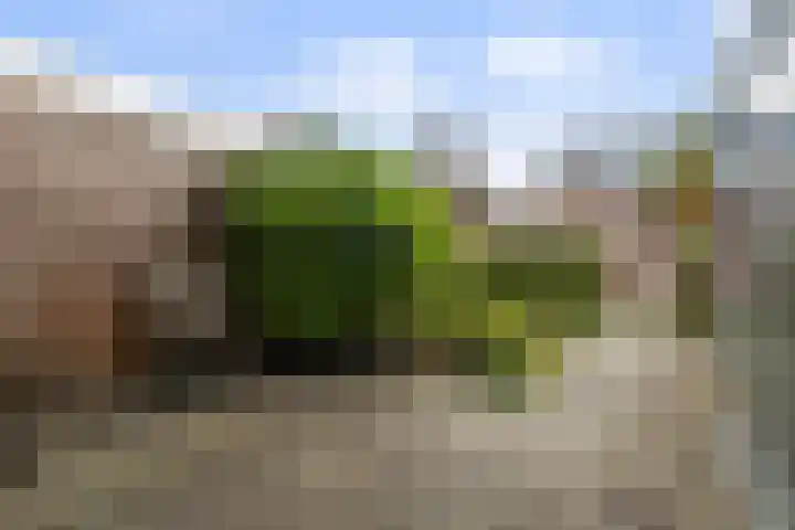 Platohôf 33 Stiens thumbnail 34