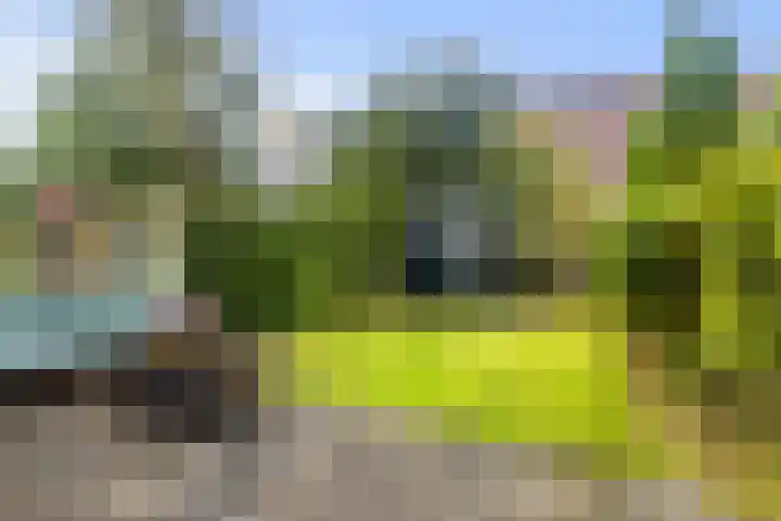 Platohôf 33 Stiens thumbnail 35