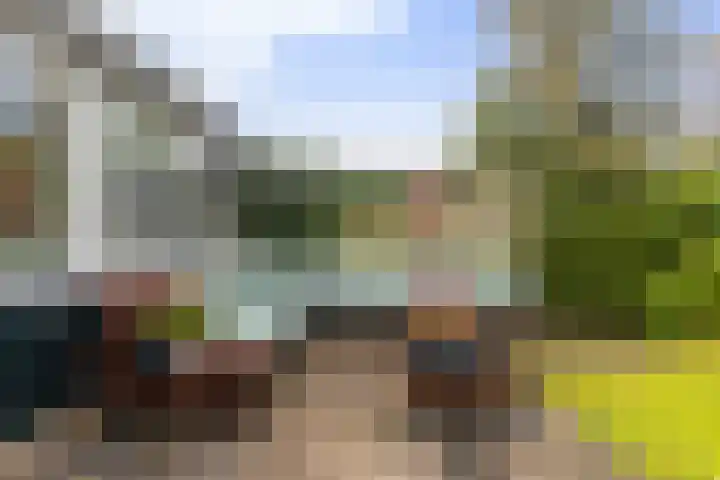 Platohôf 33 Stiens thumbnail 36
