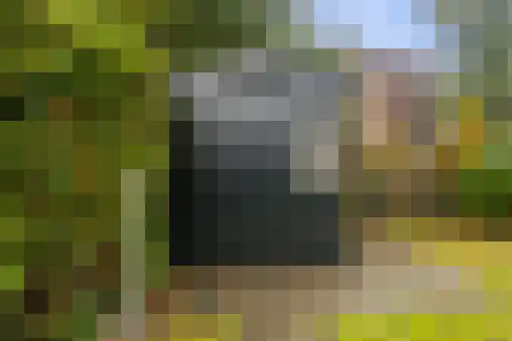 Platohôf 33 Stiens thumbnail 37