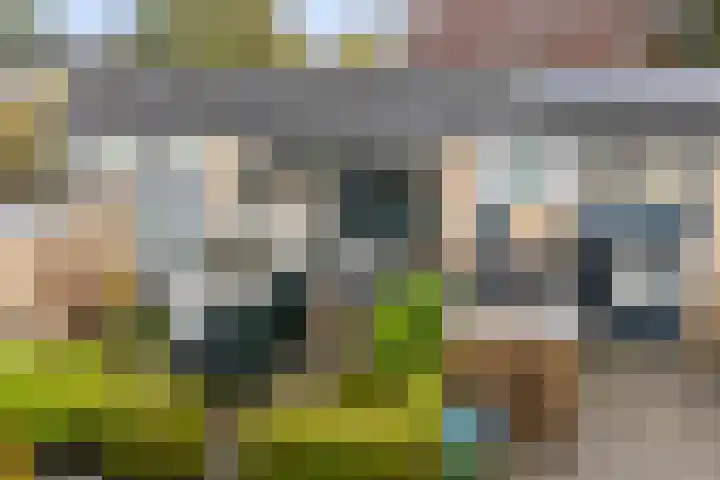 Platohôf 33 Stiens thumbnail 38