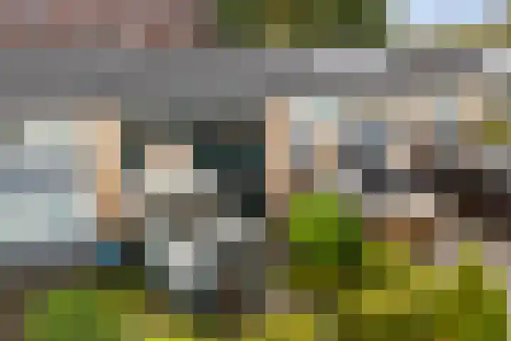 Platohôf 33 Stiens thumbnail 39