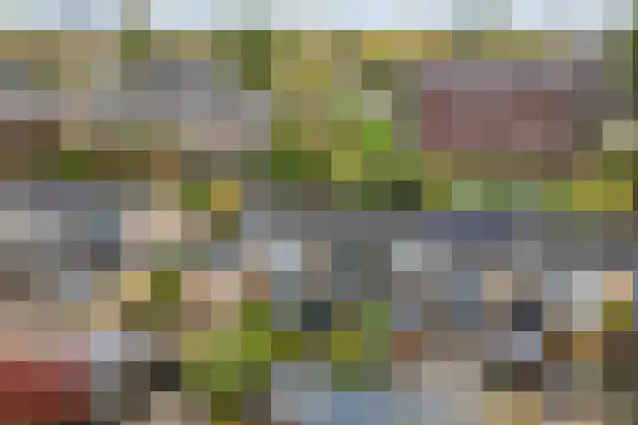 Platohôf 33 Stiens thumbnail 40