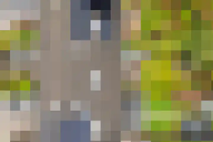 Platohôf 33 Stiens thumbnail 42
