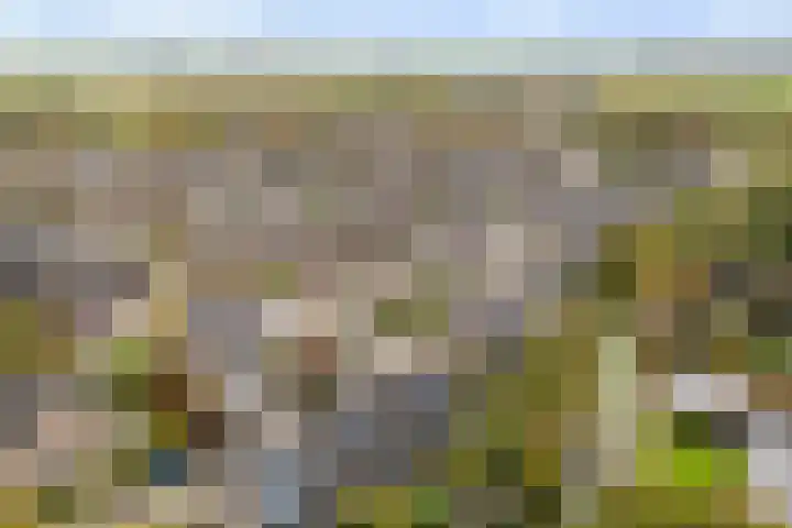 Platohôf 33 Stiens thumbnail 44