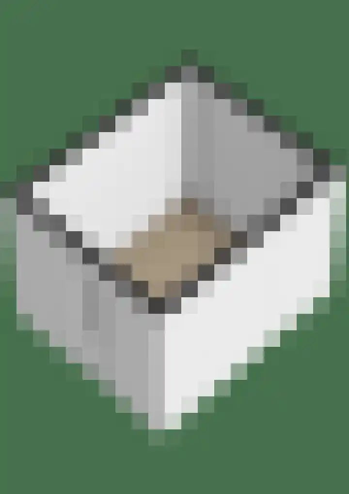 Platohôf 33 Stiens thumbnail 52