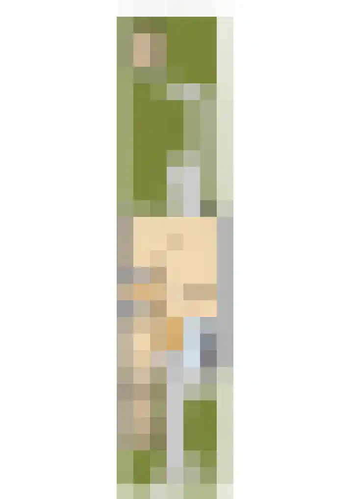 Platohôf 33 Stiens thumbnail 53