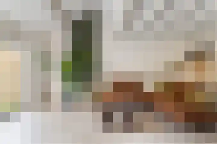 Platohôf 33 Stiens thumbnail 6