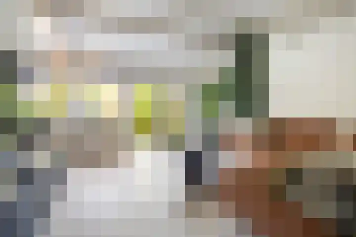 Platohôf 33 Stiens thumbnail 7