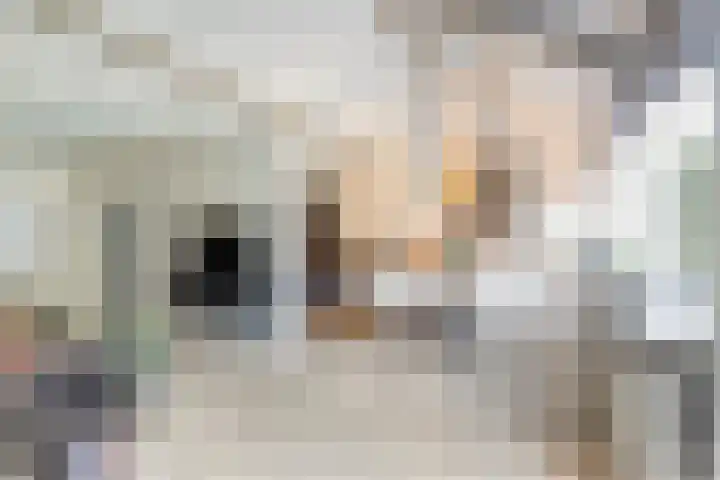 Platohôf 33 Stiens thumbnail 8