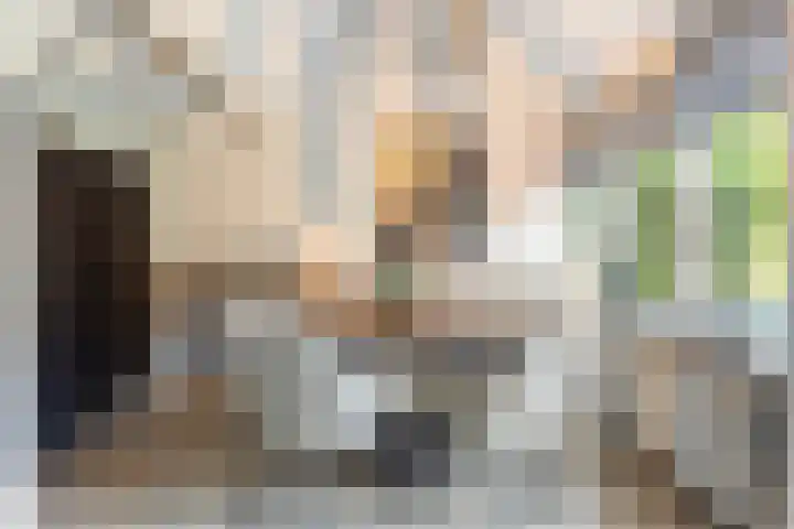 Platohôf 33 Stiens thumbnail 9