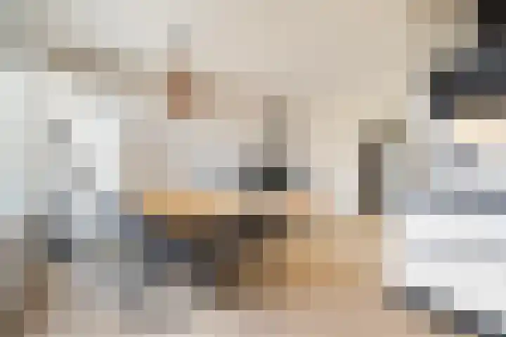 Platohôf 53 Stiens thumbnail 11
