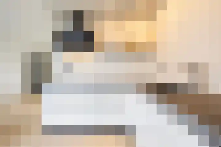 Platohôf 53 Stiens thumbnail 12
