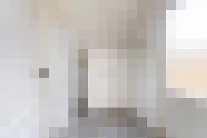 Platohôf 53 Stiens thumbnail 13