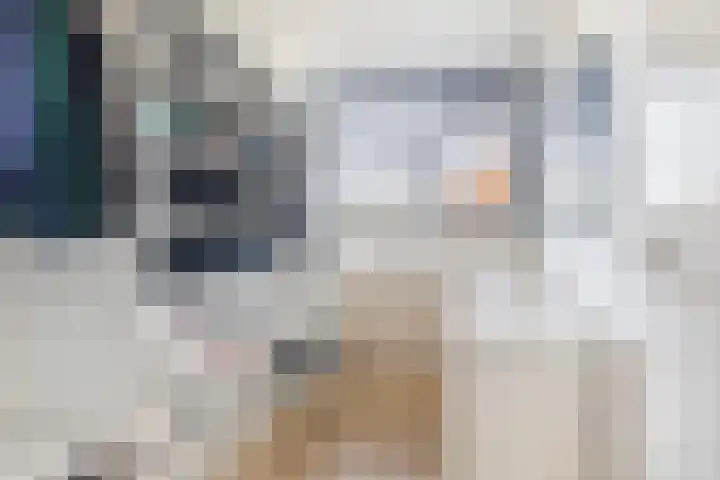 Platohôf 53 Stiens thumbnail 18