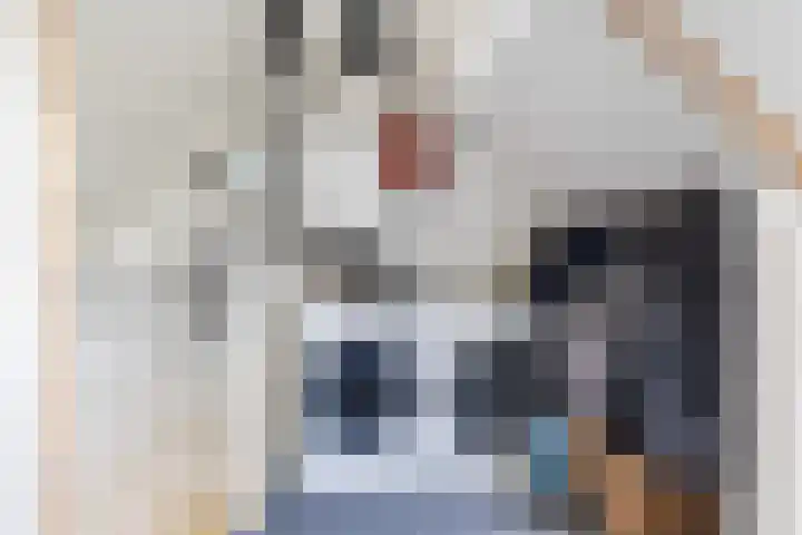 Platohôf 53 Stiens thumbnail 27