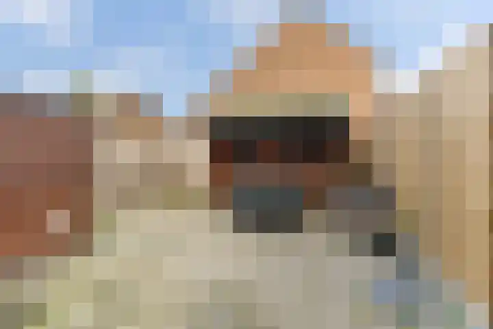 Platohôf 53 Stiens thumbnail 29