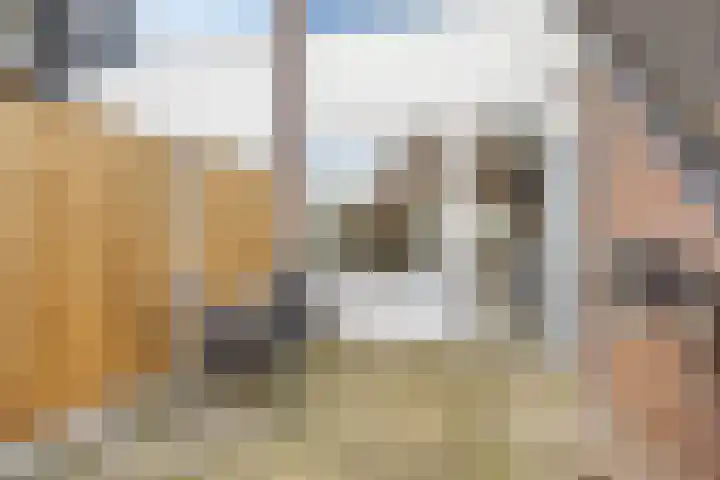 Platohôf 53 Stiens thumbnail 30