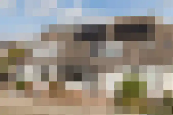 Platohôf 53 Stiens thumbnail 34