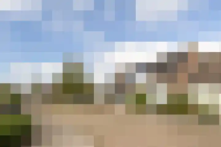 Platohôf 53 Stiens thumbnail 35