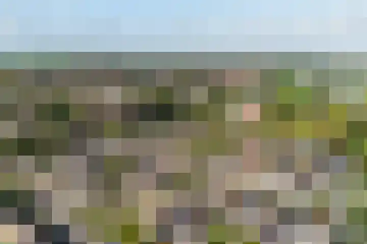 Platohôf 53 Stiens thumbnail 36