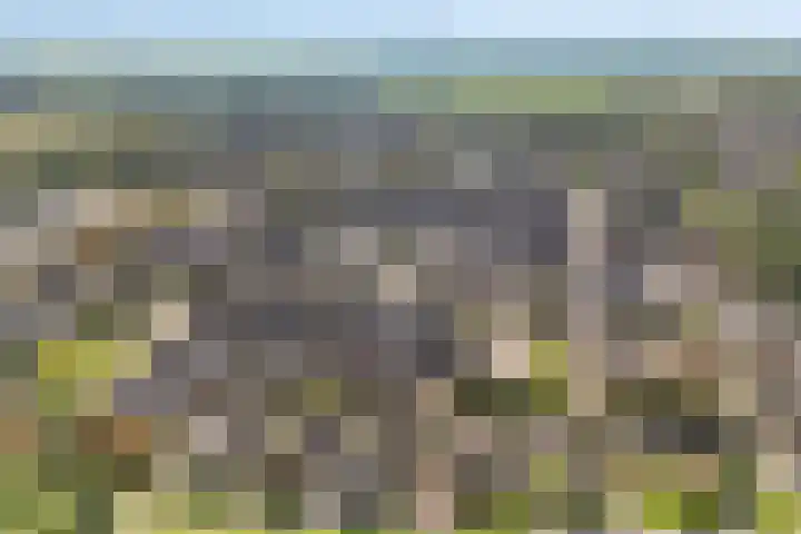Platohôf 53 Stiens thumbnail 37