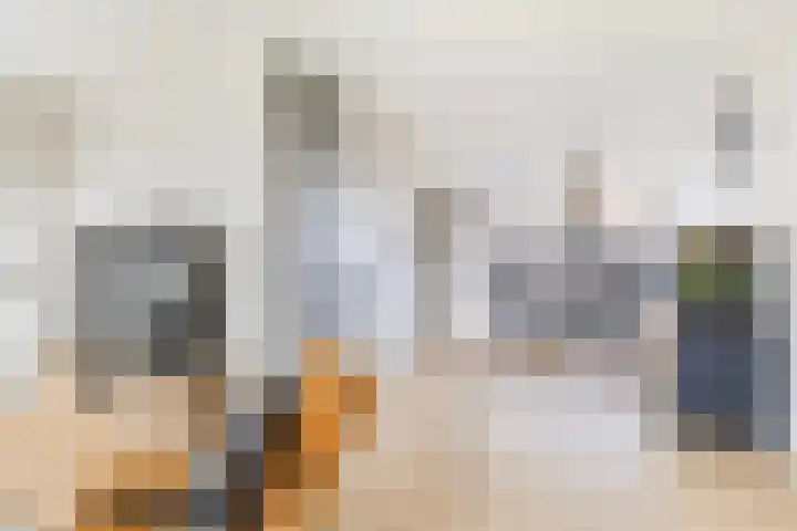 Platohôf 53 Stiens thumbnail 7