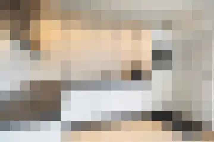 Platohôf 53 Stiens thumbnail 9