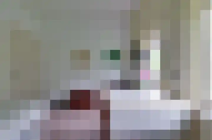 Platolaan 11 Assen thumbnail 20