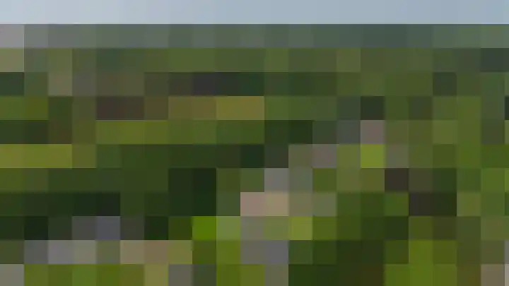Platolaan 11 Assen thumbnail 30