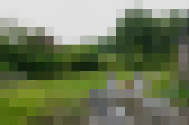 Platolaan 11 Assen thumbnail 34