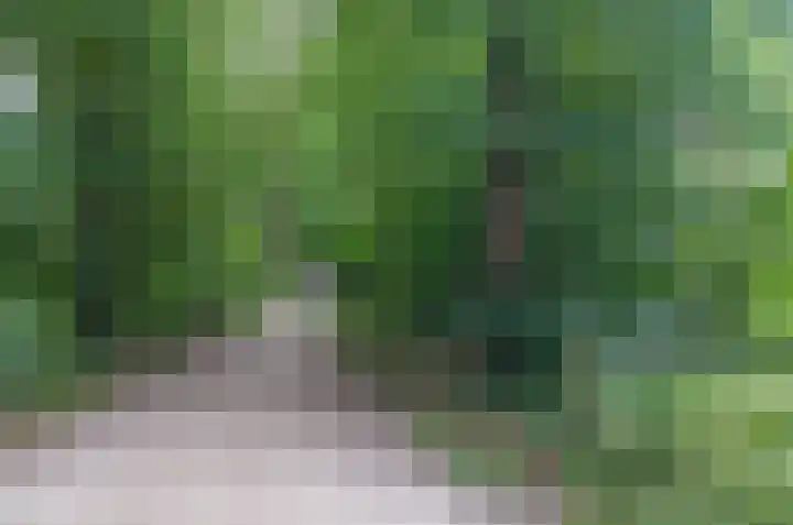 Platolaan 11 Assen thumbnail 37